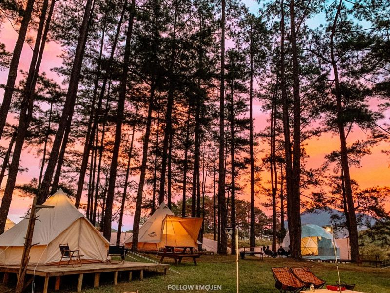 Glamping4_CampArt by MoJen2_vietcetera.jpg